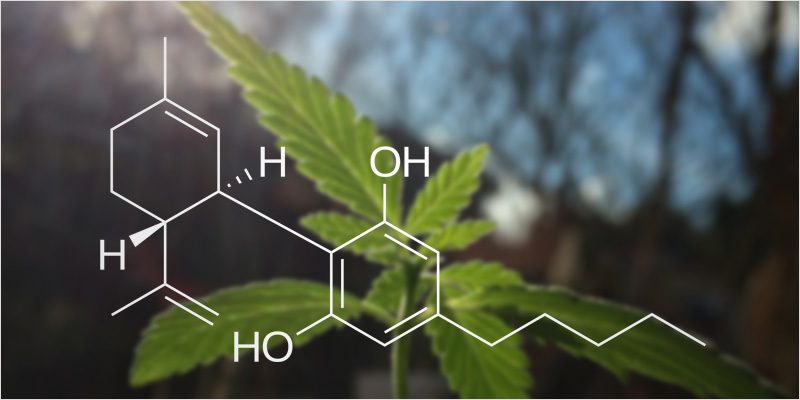 CBD – My CBD